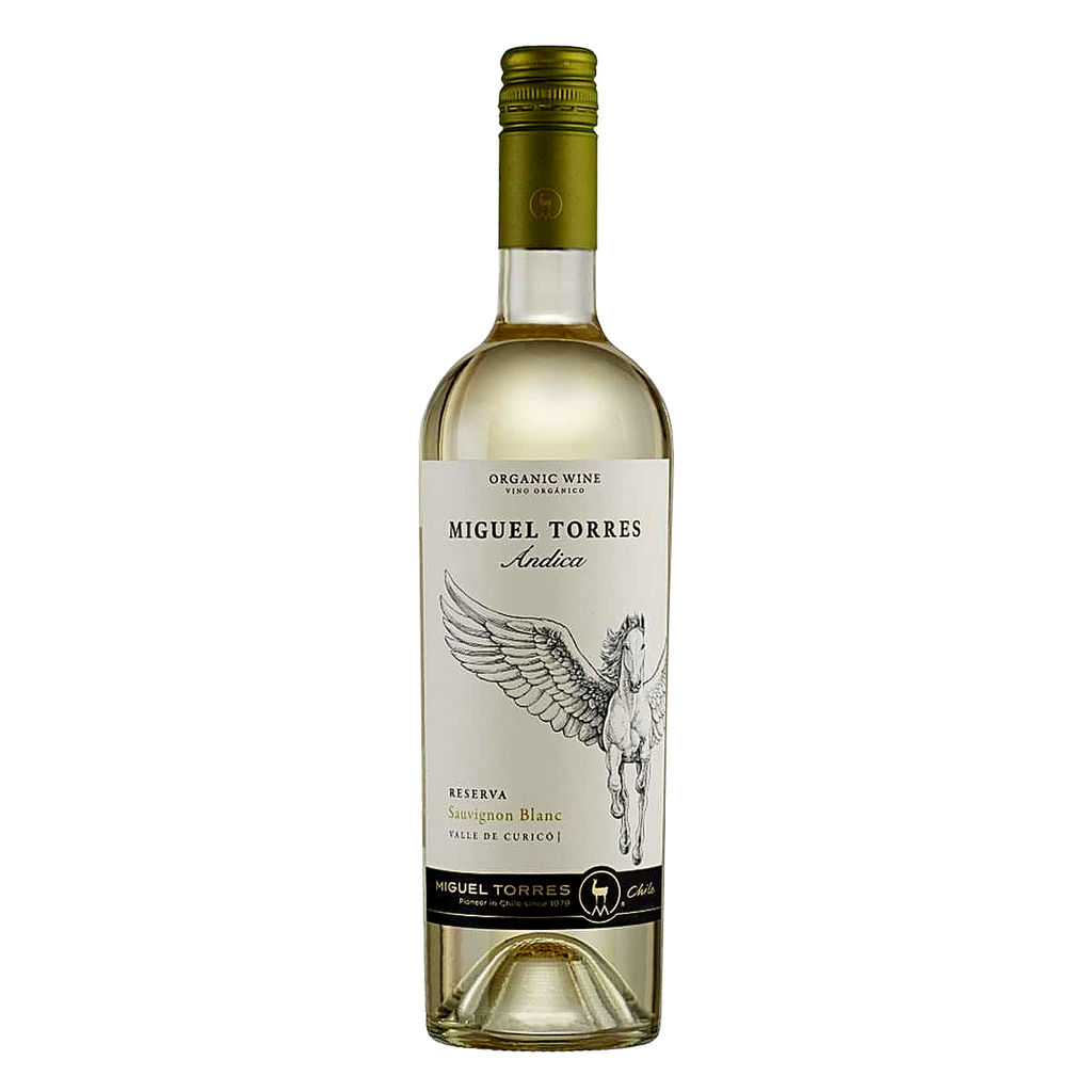 Andica Sauvignon Blanc Reserva 2023
